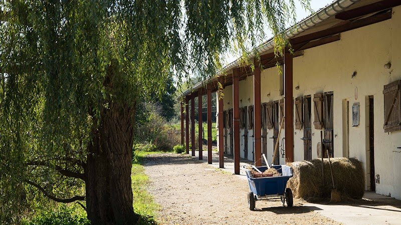 Club Hippique Chalonnais