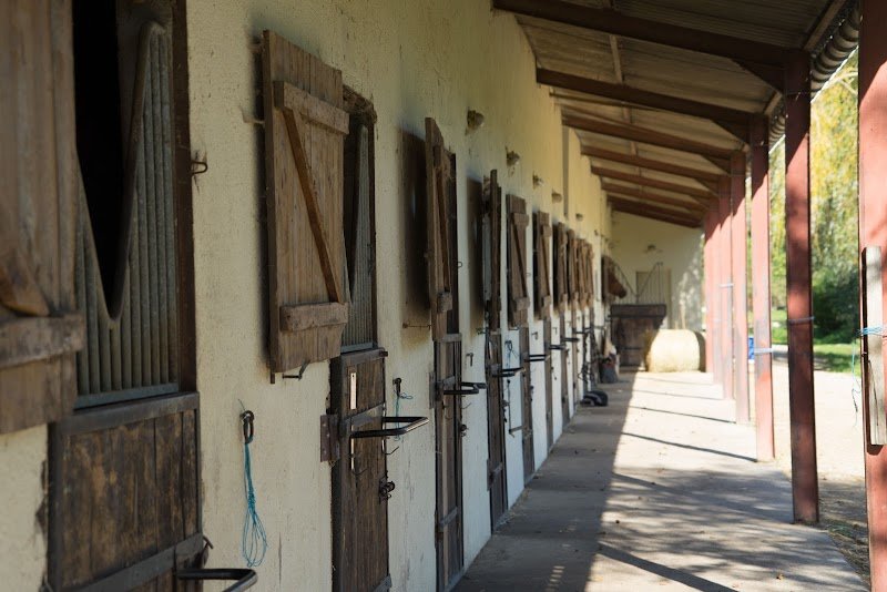 Club Hippique Chalonnais - photo 2