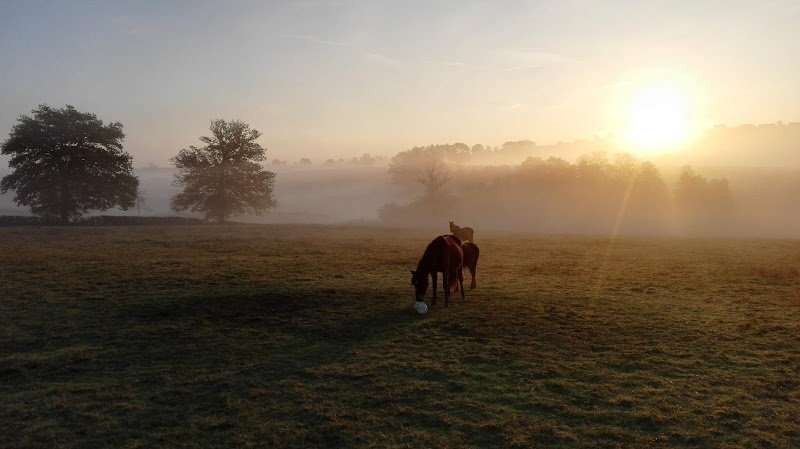 Floriane Vailleau centre équestre le Sapajou - photo 3