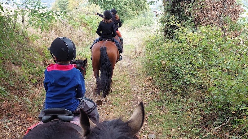 CENTRE EQUESTRE LE CHENE VERT - photo 1