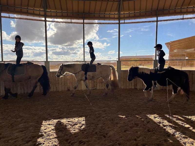 CENTRE EQUESTRE LE CHENE VERT - photo 2