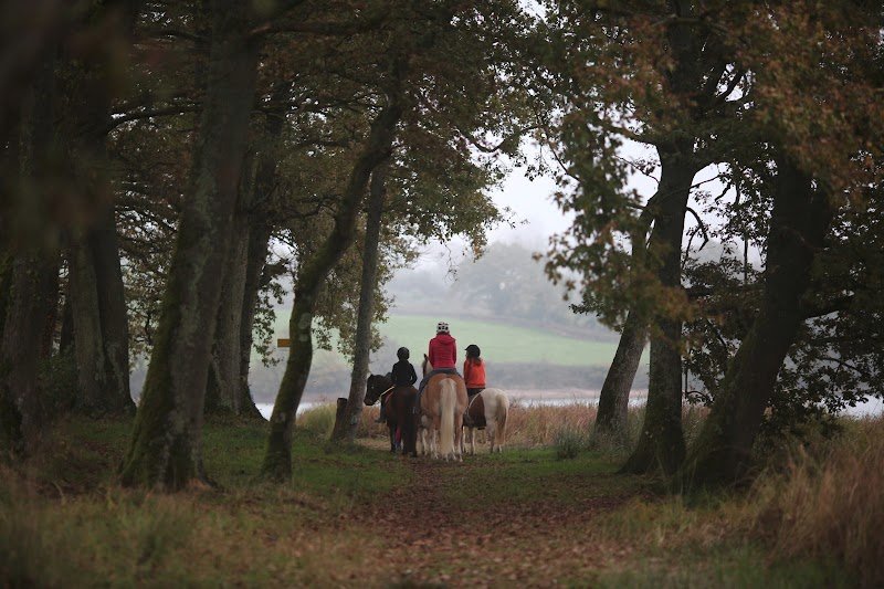 CENTRE EQUESTRE LE CHENE VERT - photo 3