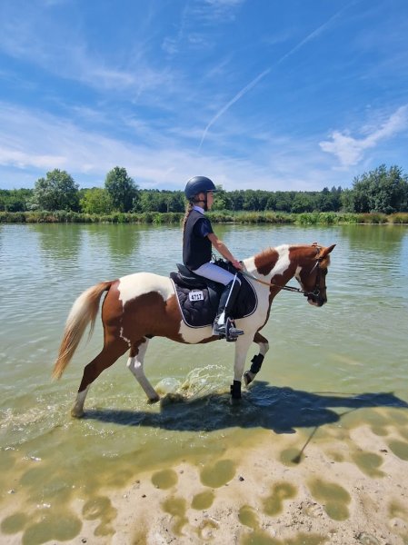 Ecurie des marronniers - photo 2