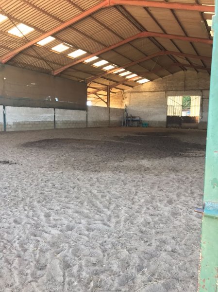 Centre équestre de Uchizy - photo 2