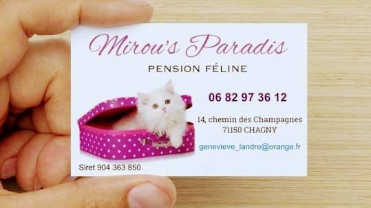 Pension MIROU’S Paradis /Toilettage Mirou's C'ouaf /Elevage Persan