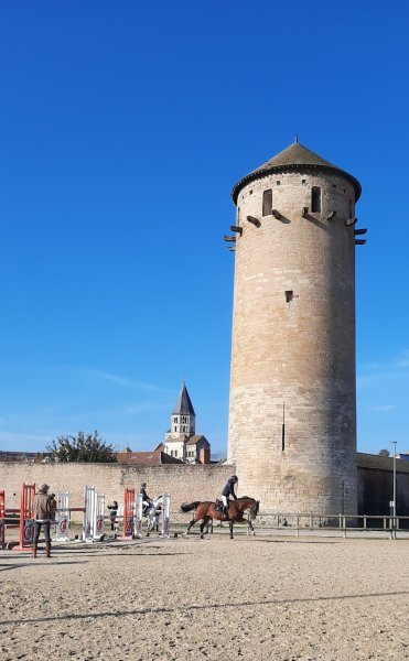Haras national de Cluny - photo 3
