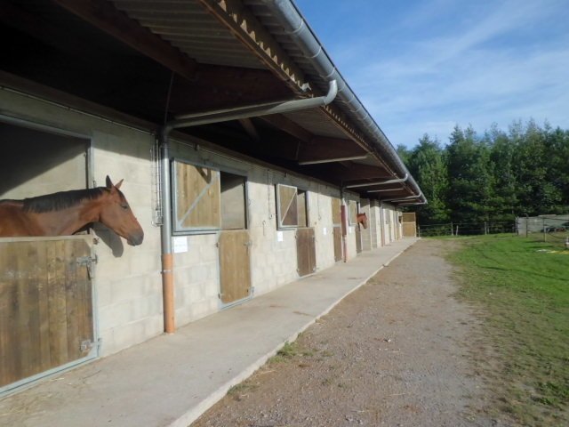 Poney-Club des Découvertes - photo 3