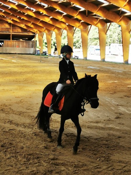 Ecurie Boï - photo 1