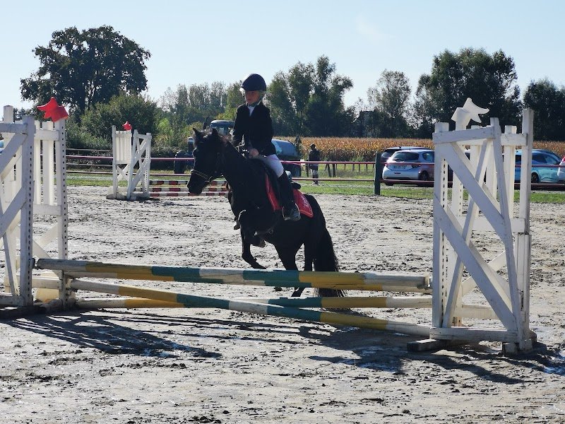 Ecurie Boï - photo 3