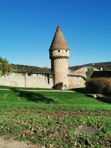 Haras Poney Club Du Moulin - photo 2