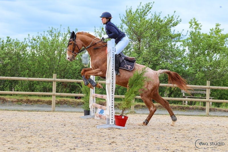 Ecurie des Petites Fontaines EDPF - photo 3