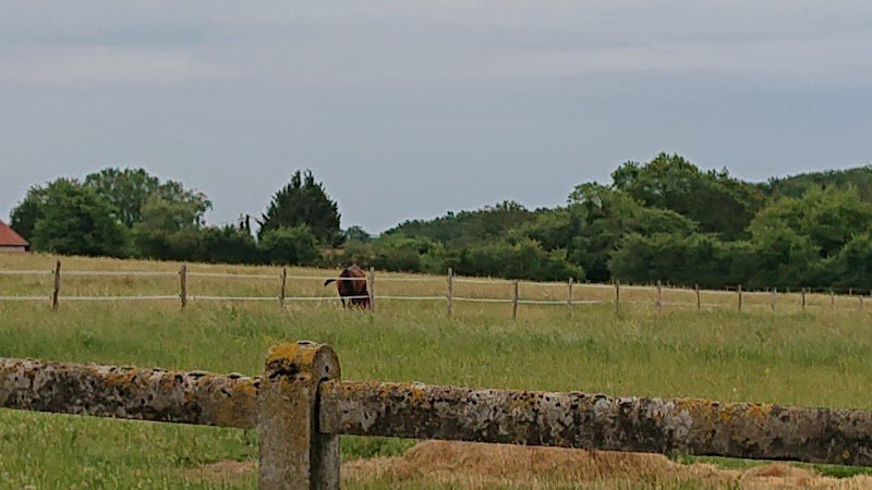 Haras de Favry - photo 2