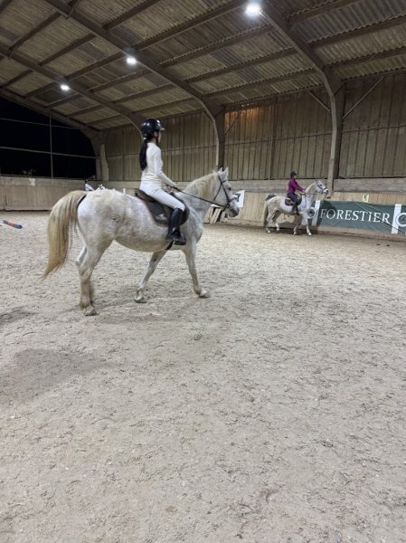Poney Club Saint Christophe/ centre équestre en Saône et Loire - photo 2