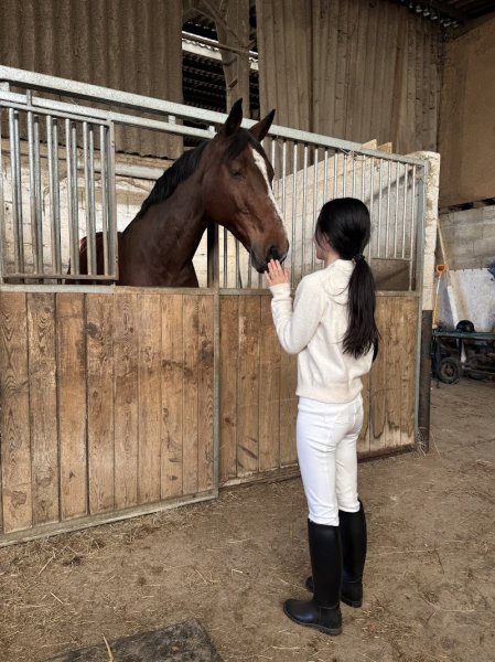 Poney Club Saint Christophe/ centre équestre en Saône et Loire - photo 3