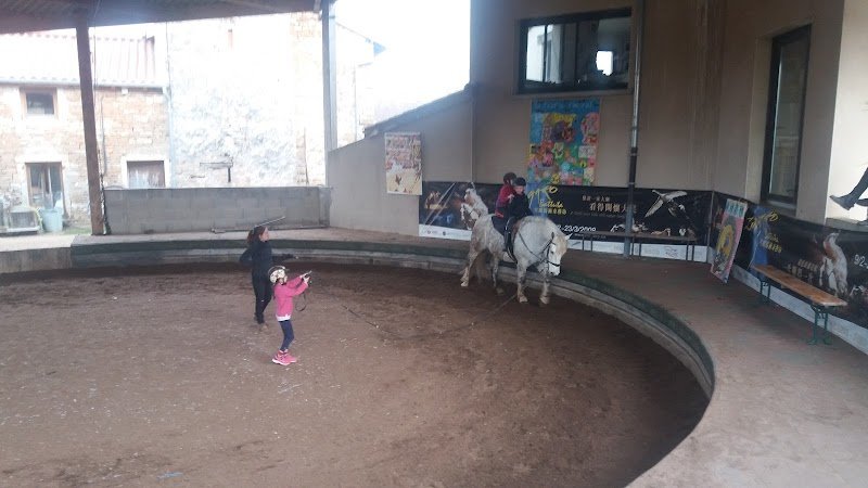 PONEY CLUB DE LAIZÉ - photo 2