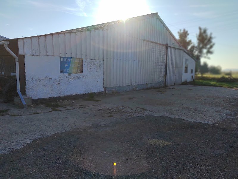 Ecuries de l'arc en ciel - photo 2