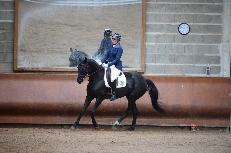 L'Ecurie de Saint Cyr - photo 2