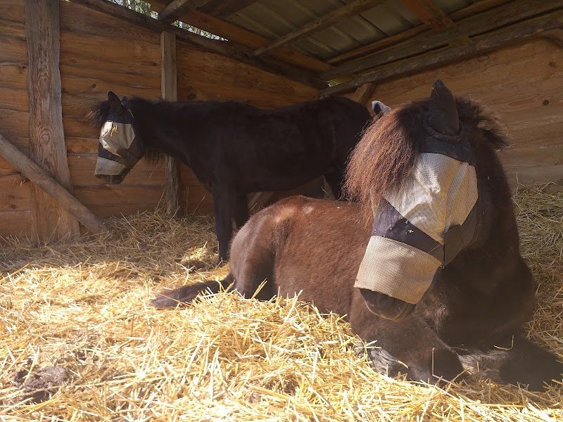 Les Ecuries de Saint Cyr - photo 3