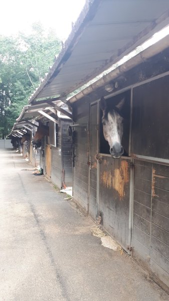 Les écuries de la Guiche