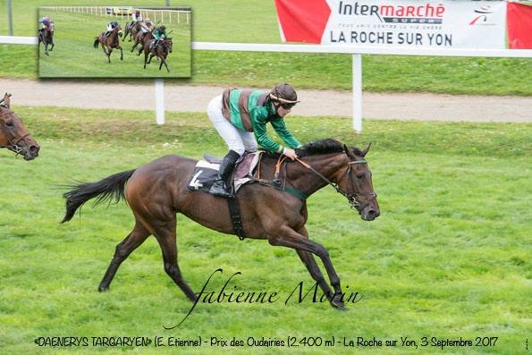 Sebastien Berger Haras de Villorbaine - photo 2