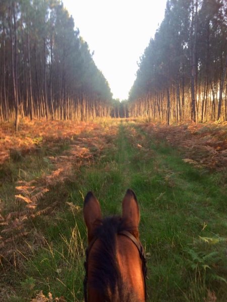 Les Ecuries de Sainte Hélène