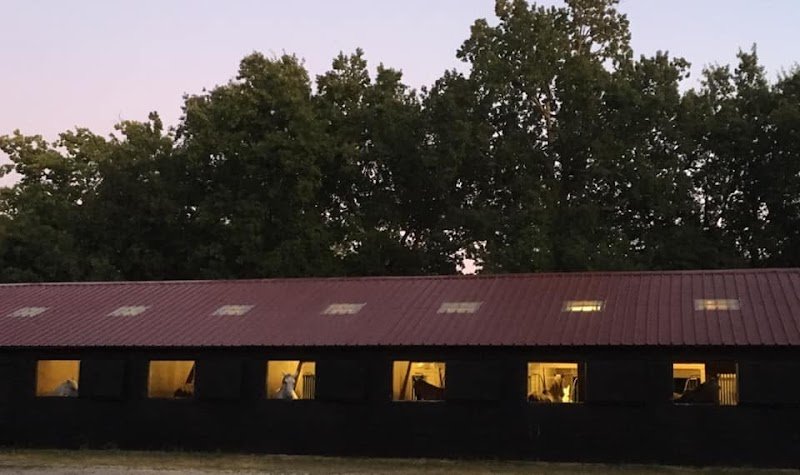 Les Ecuries de Sainte Hélène - photo 2