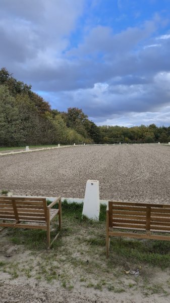 Ecurie Deghaye Dressage - photo 1