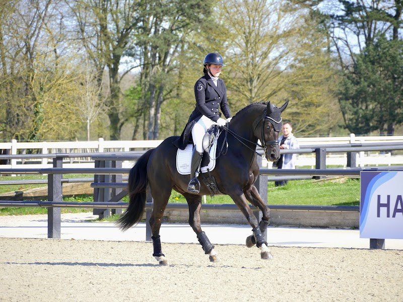 Ecurie Deghaye Dressage - photo 2
