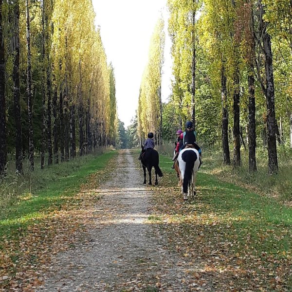 Centre Équestre du Grand Rang - photo 2