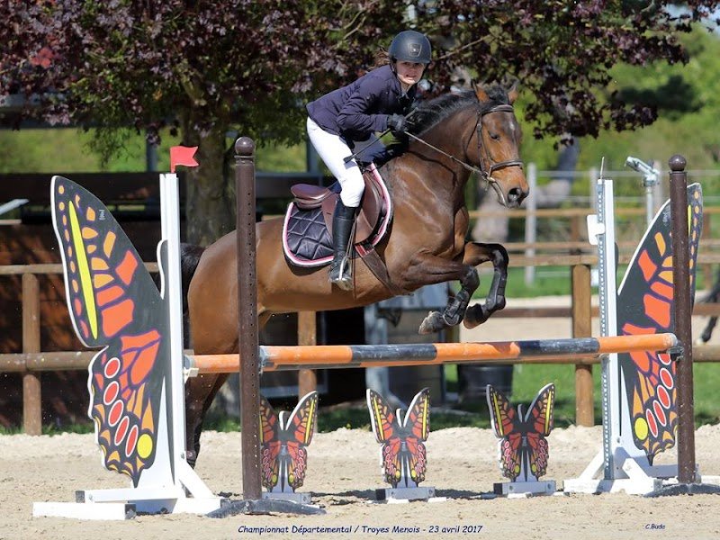 Centre Équestre du Grand Rang - photo 3