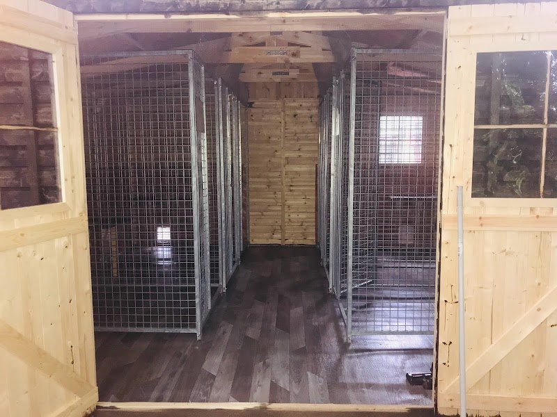 Pension féline des Malacoons - photo 3