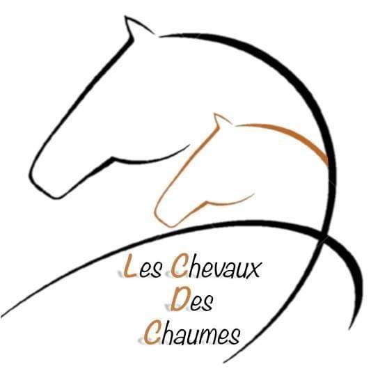 Les Chevaux des Chaumes - photo 1