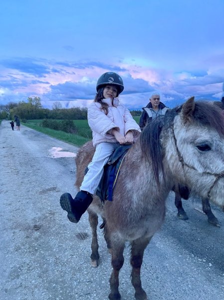 Ecurie De Changy - photo 2