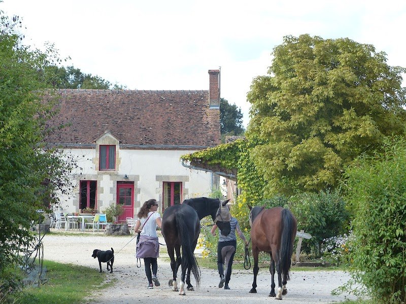 Écurie Le Petit Houssat - photo 1