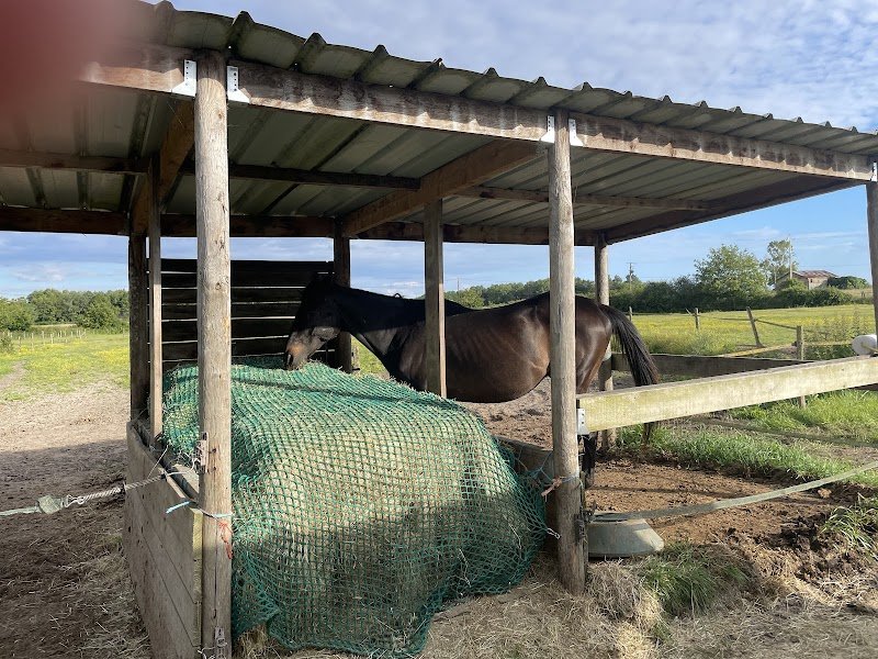 Écurie Le Petit Houssat - photo 3