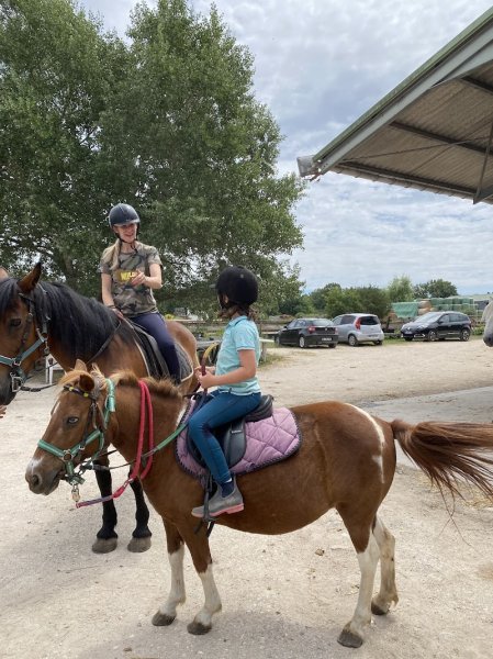Ferme Équestre du K Rouge - photo 2