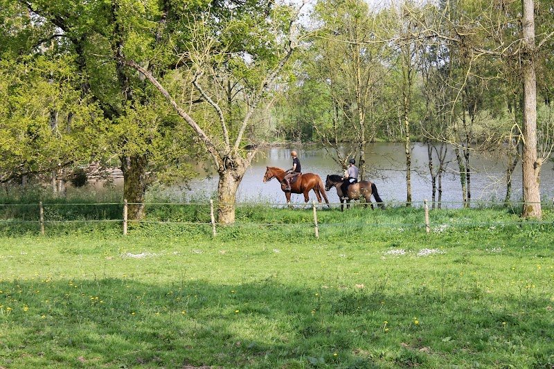 Ecurie de Réputé - photo 2