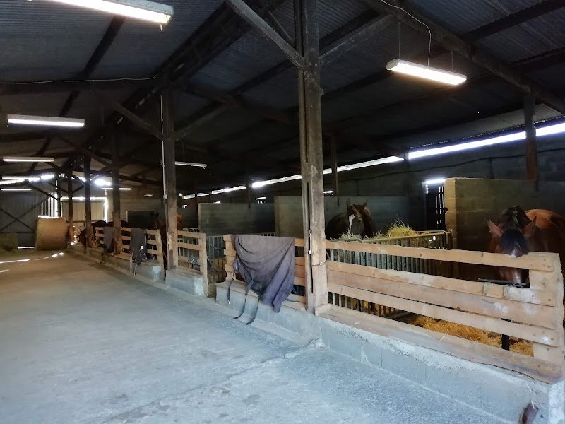 Ecurie de Réputé - photo 3