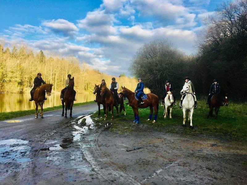 Ferme équestre de Saint Gilles, Elevage Sant Jili Ranch