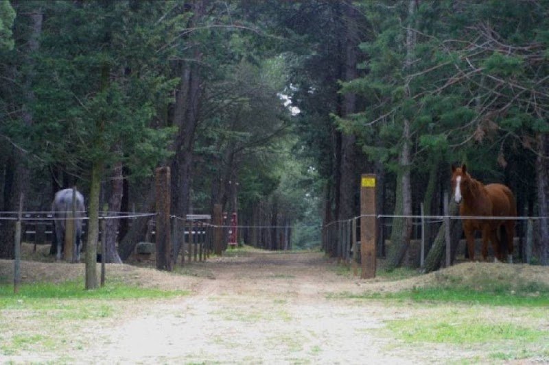 Les Ecuries Du Soleil - photo 2