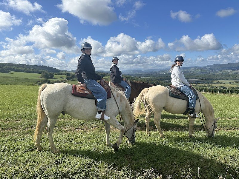 Cluny Horse Valley - photo 2