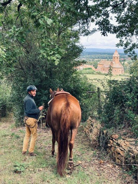 Cluny Horse Valley - photo 3