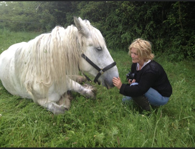 Trotte la Vivelle - Centre de Tourisme Equestre - Poney Club - photo 2