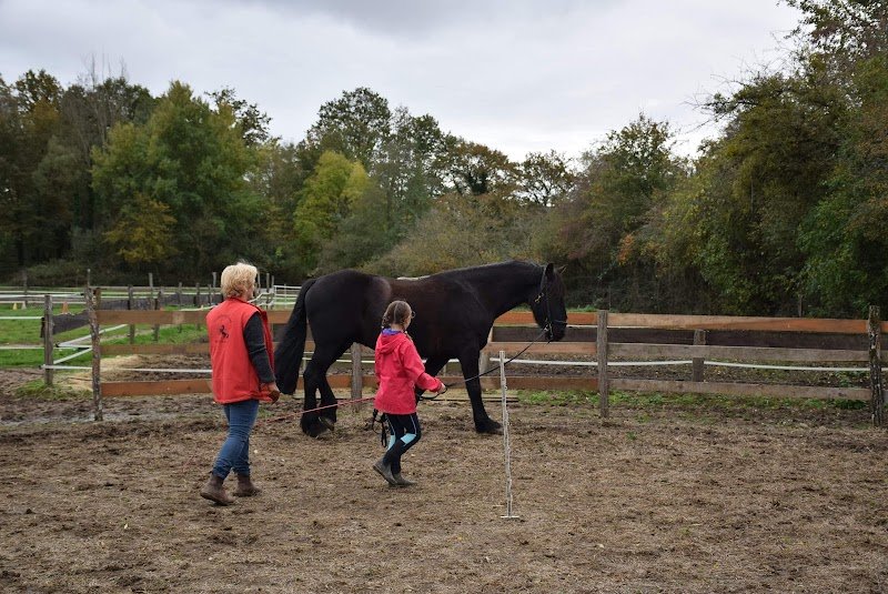 Trotte la Vivelle - Centre de Tourisme Equestre - Poney Club - photo 3
