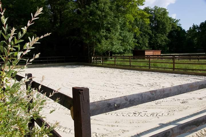 Ecuries des pleignes - pouliquen - photo 2