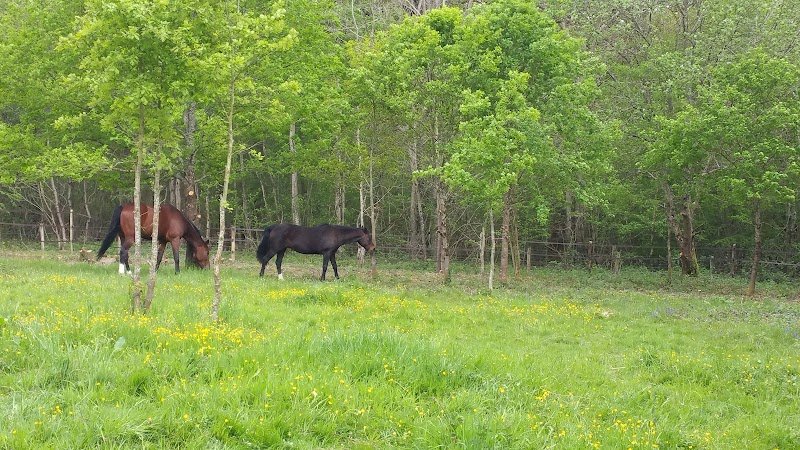 Écurie du Mont Joly - photo 3