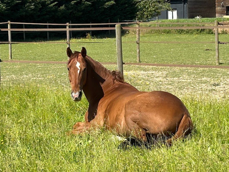 Les Ecuries de la Gaité - photo 2