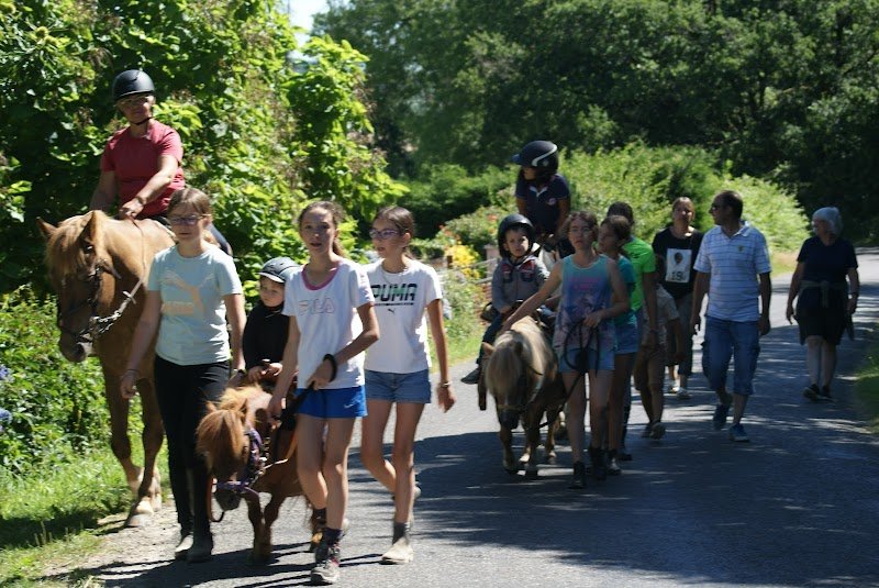 Ecuries de PLJ - photo 1