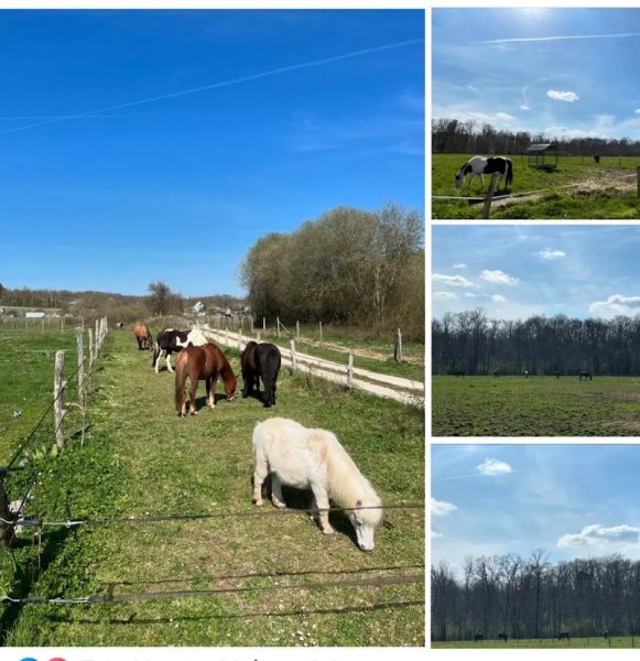 Écurie Matéo - photo 1