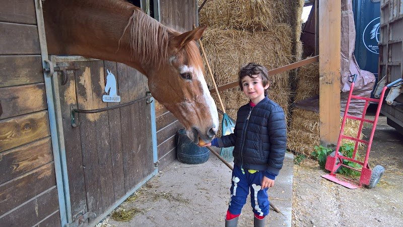 Haras des Courlis - photo 2